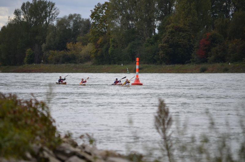 Schuelermannschaft auf dem grossen Rhein mit ihrem Trainer: Florian Spaeth, Robert Fricke, Emil Hoch, Santiago Fricke (v.l.)